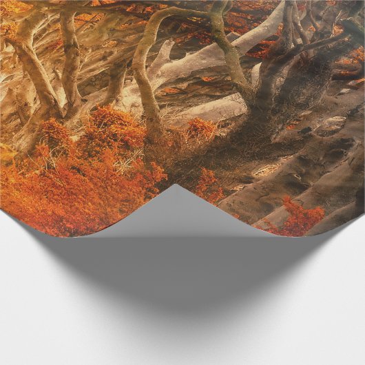 Herbstmapfelwald fällt Wälder Blätter Geschenkpapier (Ecke)