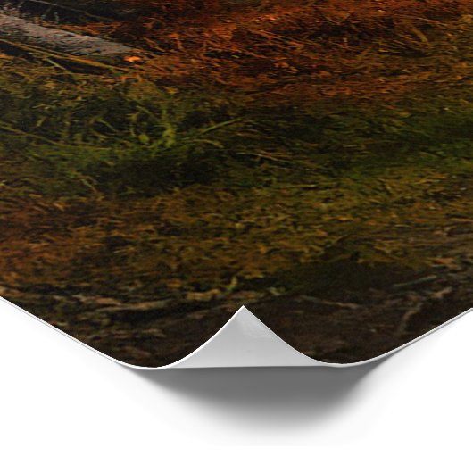 Herbstmapfelwald fällt Wälder Blätter Poster (Ecke)