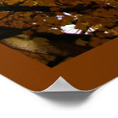 Herbstmaple Bäume drucken Landschaftspopster Poster (Ecke)