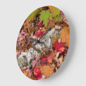 Herbstmaple-Blätter decken Birkenrinde im Wald ab Große Wanduhr (Winkel)