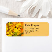 Herbstmaple-Blätter mit Herbstfarben (Insitu)