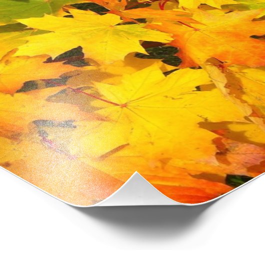 Herbstmaple-Blätter mit Herbstfarben Fotodruck (Ecke)
