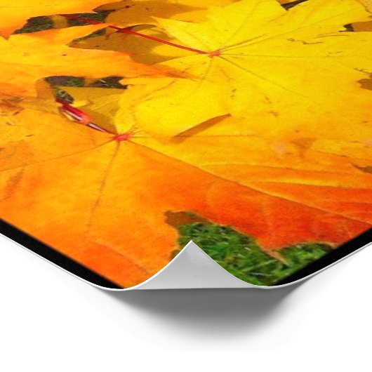 Herbstmaple-Blätter mit Herbstfarben Poster (Ecke)