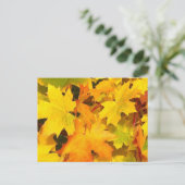 Herbstmaple-Blätter mit Herbstfarben Postkarte (Stehend Vorderseite)