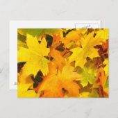 Herbstmaple-Blätter mit Herbstfarben Postkarte (Vorne/Hinten)