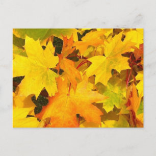 Herbstmaple-Blätter mit Herbstfarben Postkarte