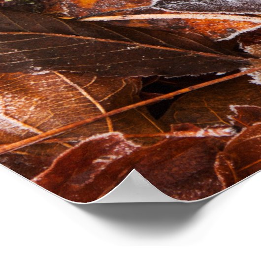 Herbstmaple Blätter Poster Paper (Matte) (Ecke)