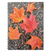 Herbstmaple-Blätter SpiralNotebook Notizblock (Vorderseite)