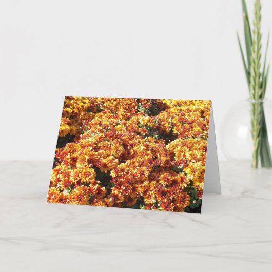 Herbstmassen Feiertagskarte (Vorderseite)