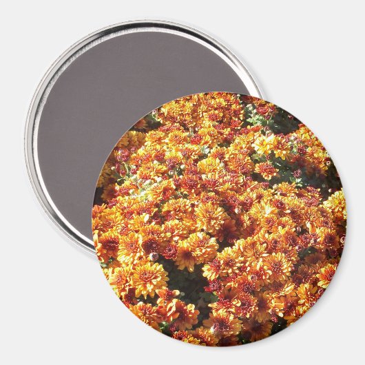 Herbstmassen Magnet (Vorderseite/Rückseite)