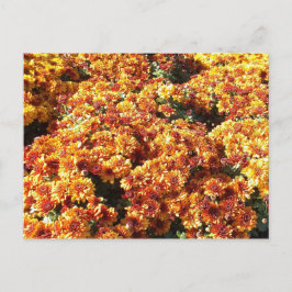 Herbstmassen Postkarte