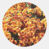 Herbstmassen Runder Aufkleber (Vorderseite)