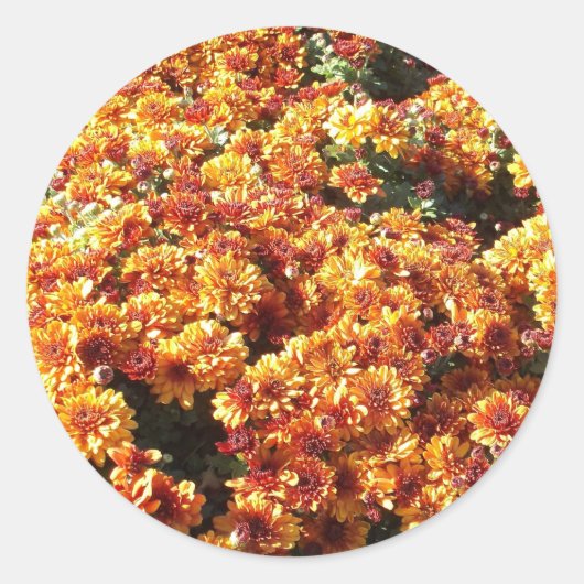 Herbstmassen Runder Aufkleber (Vorderseite)