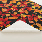 Herbstmitte Sherpadecke (3/4)