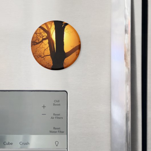 Herbstmond strahlt durch den Baum Magnet (In Situ (Kühlschrank))