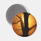 Herbstmond strahlt durch den Baum Magnet (Vorderseite/Rückseite)