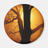 Herbstmond strahlt durch den Baum Magnet (Vorne)