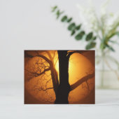 Herbstmond strahlt durch den Baum Postkarte (Stehend Vorderseite)