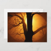 Herbstmond strahlt durch den Baum Postkarte (Vorne/Hinten)