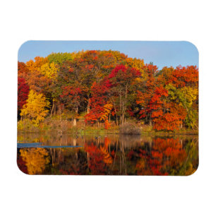Herbstmorgen im Marthaler Park und im Teich Magnet