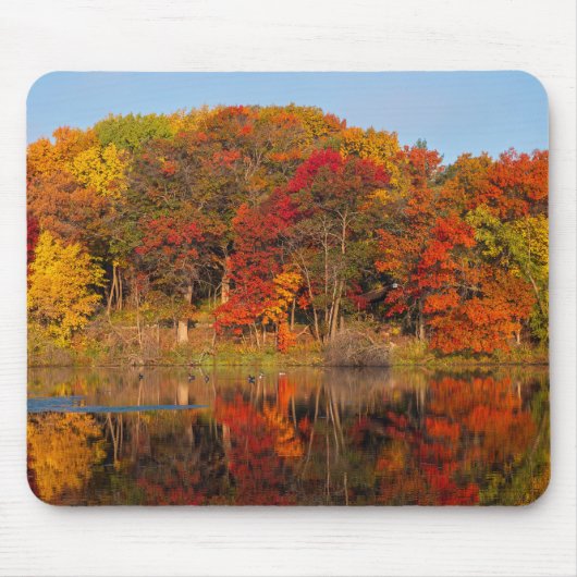 Herbstmorgen im Marthaler Park und im Teich Mousepad (Vorne)