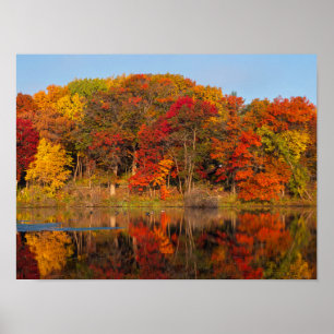 Herbstmorgen im Marthaler Park und im Teich Poster