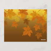 Herbstmuster mit abfallenden Ahorn-Blätter und Buc Postkarte (Rückseite)