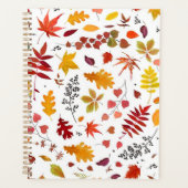 Herbstmuster Planer (Vorderseite)