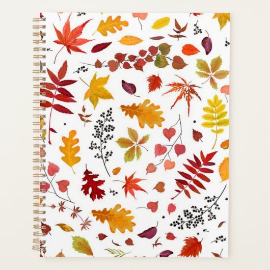 Herbstmuster Planer (Vorderseite)
