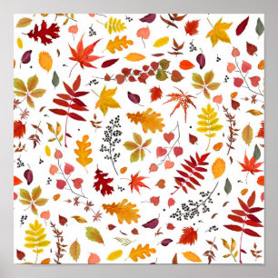 Herbstmuster Poster