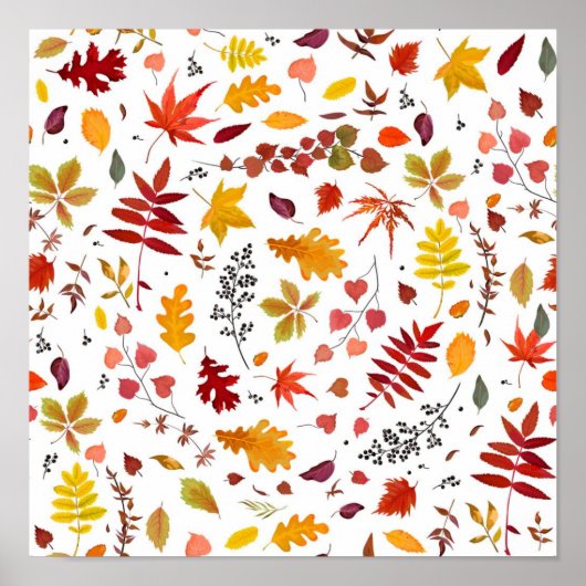 Herbstmuster Poster (Vorne)