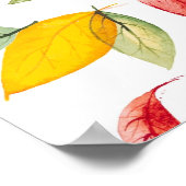 Herbstmuster Poster (Ecke)