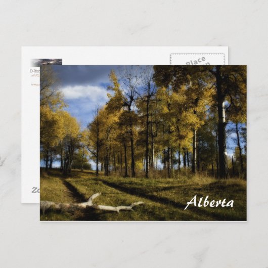 Herbstnachmittag, Alberta Postkarte (Vorne/Hinten)