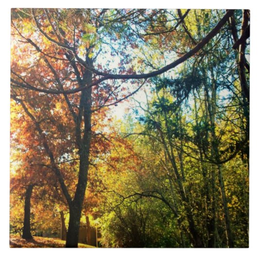 Herbstnachmittag Fliese (Vorderseite)