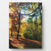 Herbstnachmittag Fotoplatte (Vorderseite)