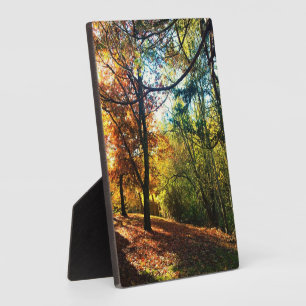 Herbstnachmittag Fotoplatte