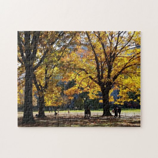 Herbstnachmittag im Central Park Puzzle (Horizontal)