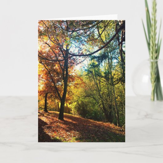 Herbstnachmittag Karte (Vorderseite)