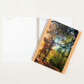 Herbstnachmittag Planer (Anzeige)