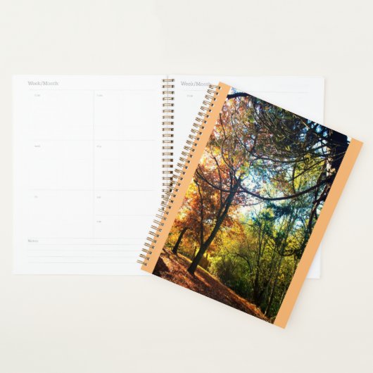 Herbstnachmittag Planer (Anzeige)
