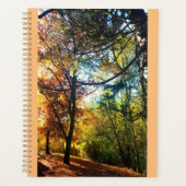 Herbstnachmittag Planer (Vorderseite)