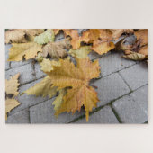 Herbstnachweise Puzzle (Horizontal)