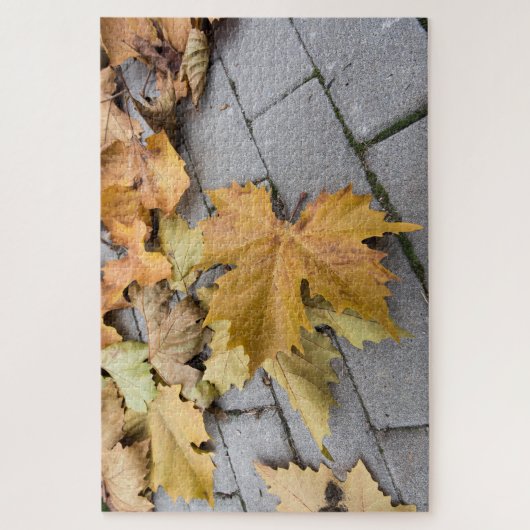 Herbstnachweise Puzzle (Vertikal)