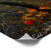 Herbstnebel im Waldposter Poster (Ecke)