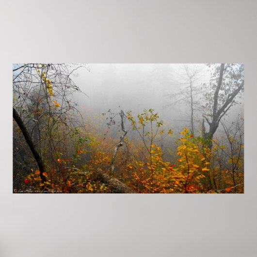 Herbstnebel im Waldposter Poster (Vorne)