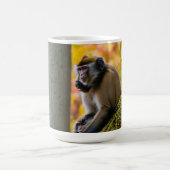 Herbstneugier: Affen im Zoo im Herbst Kaffeetasse (Mittel)