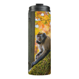 Herbstneugier: Affen im Zoo im Herbst Thermosbecher