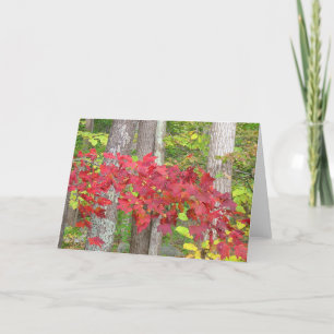 Herbstnotecard Karte