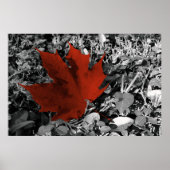 Herbstnuancen Poster (Vorne)