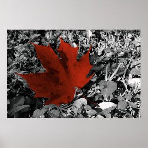 Herbstnuancen Poster